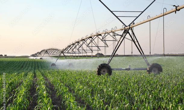 A large pivot irrigation system watering rows of green crops in an expansive agricultural field at sunset.