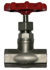 Stainless Globe Valve