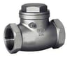 Stainless Swing Check Valve