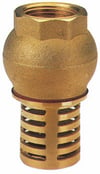 Brass Foot Valve