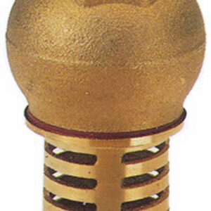 Brass Foot Valve