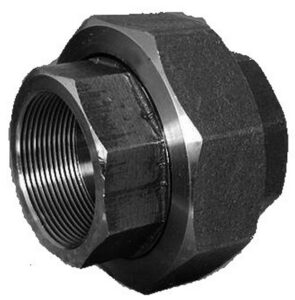 Black Steel F/F Union Brass/Brass
