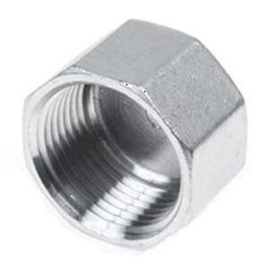 Stainless Hex Cap