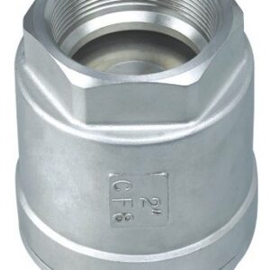 Stainless Spring Check Valve